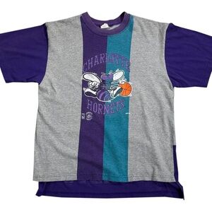Vintage Competitor Charlotte Hornets Striped T Shirt (Size L)
